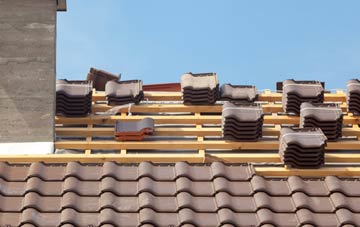Bassus Green clay roofing costs