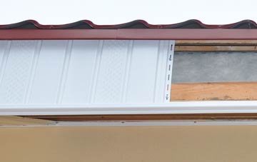 Bassus Green fascia repair costs