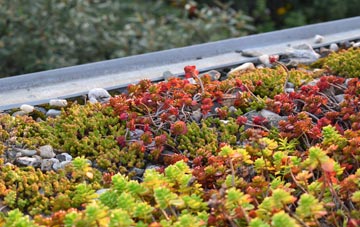 the cost of Bassus Green green roof installation