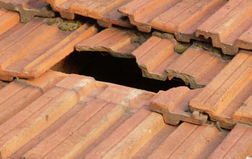 roof repair Bassus Green, Hertfordshire