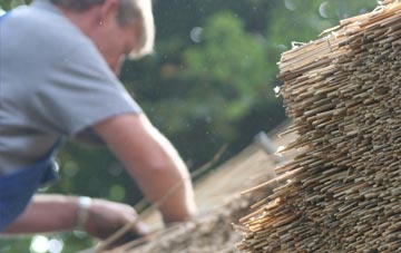 professional Bassus Green thatchers