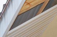 rated Bassus Green soffit repair companies